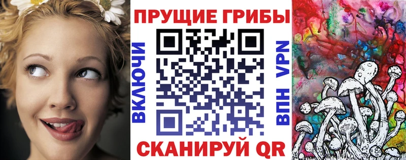 Псилоцибиновые грибы Cubensis  Купить  Тимашёвск 